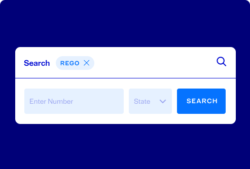 REGO / VIN / Keyword / Make or Model Search